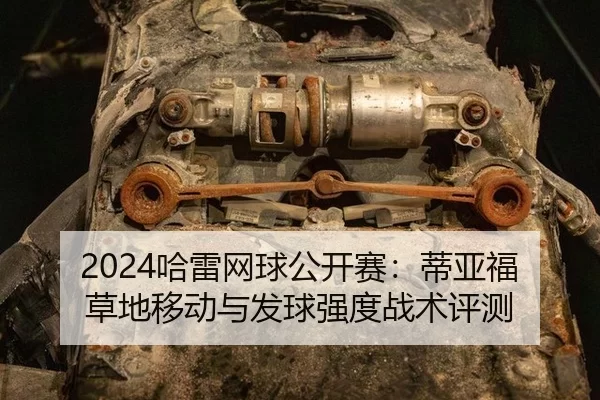 2024哈雷网球公开赛：蒂亚福草地移动与发球强度战术评测